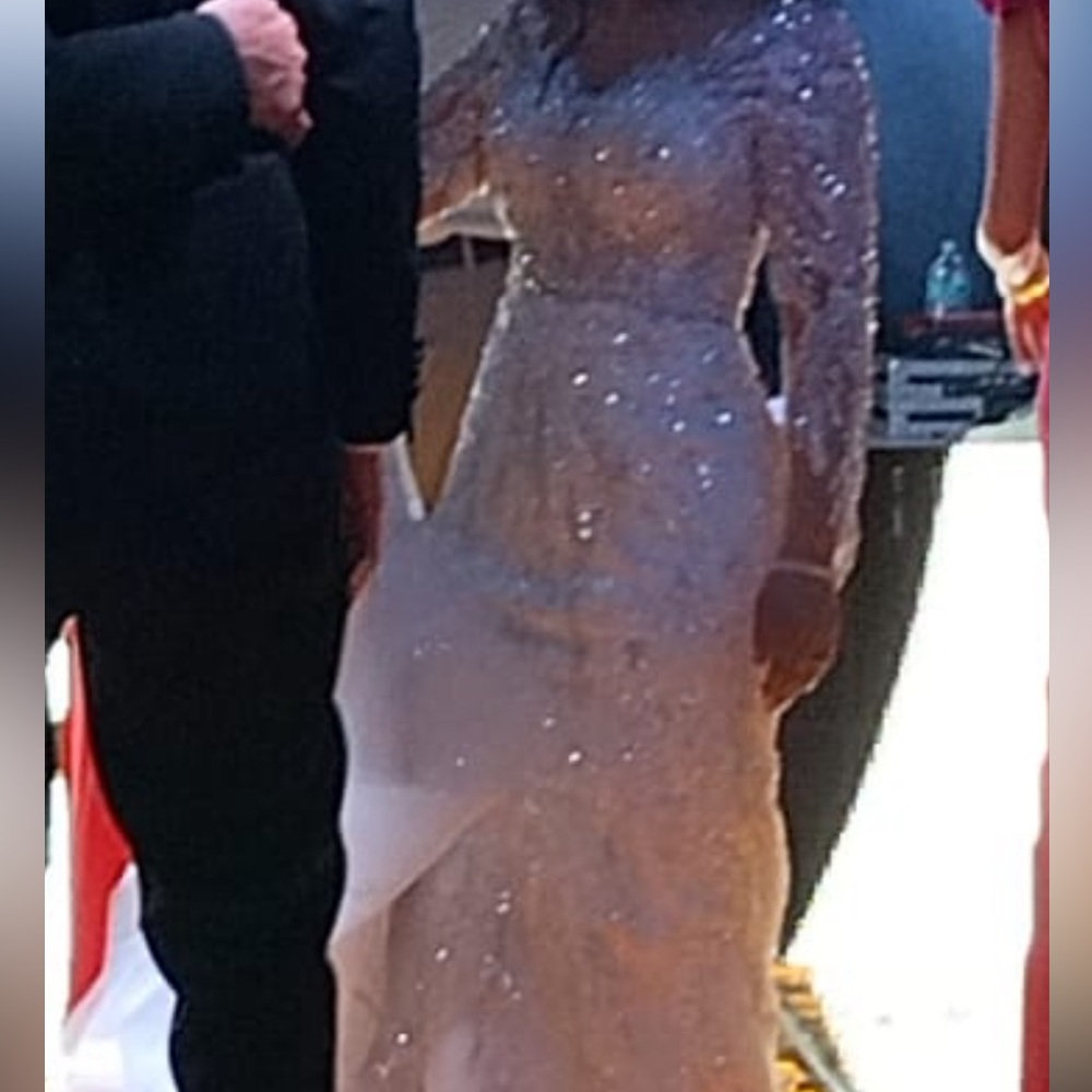 Glitter Mesh Long Sleeve Evening Dress - Champagne